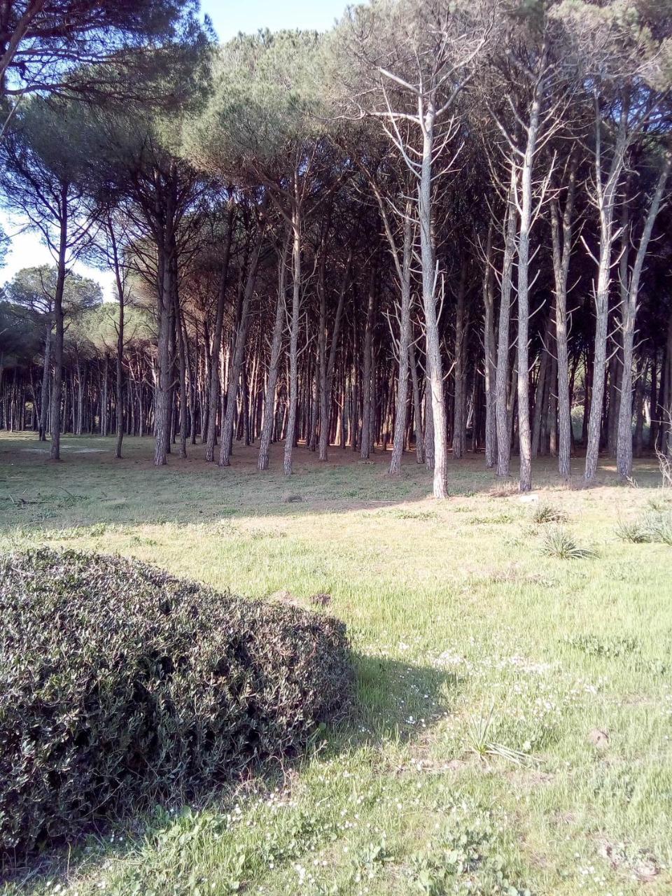 Grazia Hotel Eboli